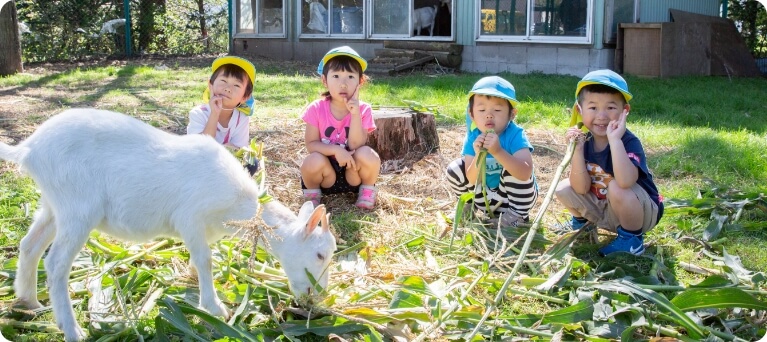 自然教育園の画像_SPサイズ